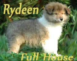 rydeen%20full%20house%20bild.jpg